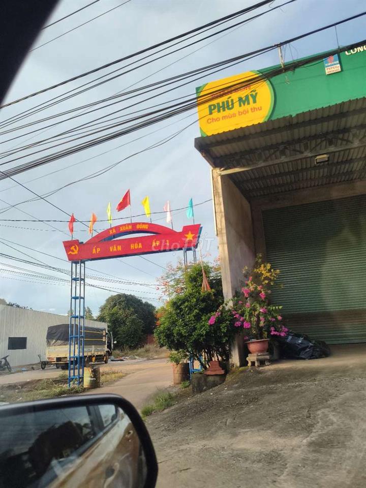 💥 BÁN GẤP ĐẤT 137M² – 539 TRIỆU | CÓ 115M² THỔ CƯ
