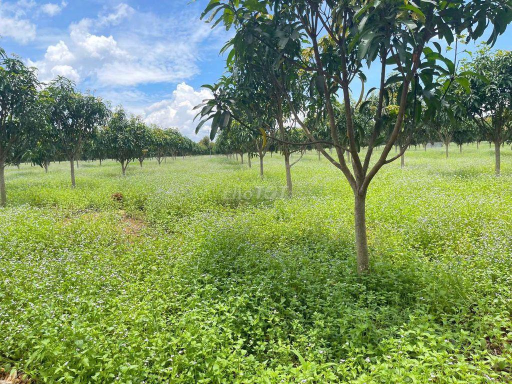 🌿CHỈ 570 TRIỆU/1.000m² – SỞ HỮU VƯỜN XANH VIEW SÔNG HỒ TRỊ AN - LA NGÀ