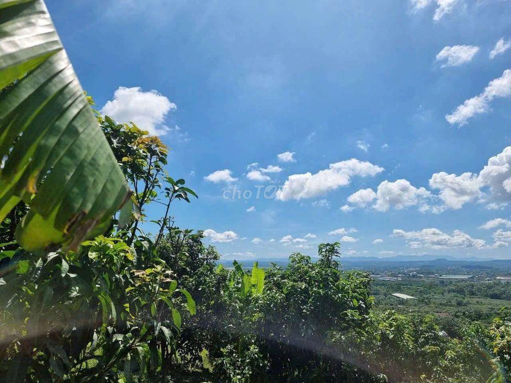 🌿CHỈ 570 TRIỆU/1.000m² – SỞ HỮU VƯỜN XANH VIEW SÔNG HỒ TRỊ AN - LA NGÀ