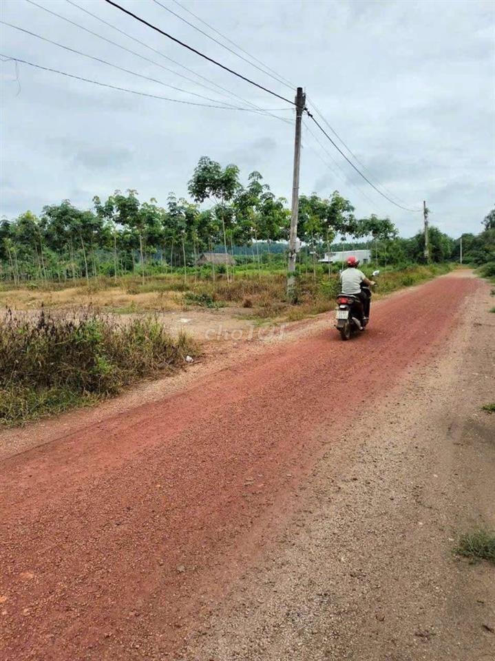 Chính chủ cần bán mảnh vườn 1200m2 có sẵn gần 200m thổ cư.