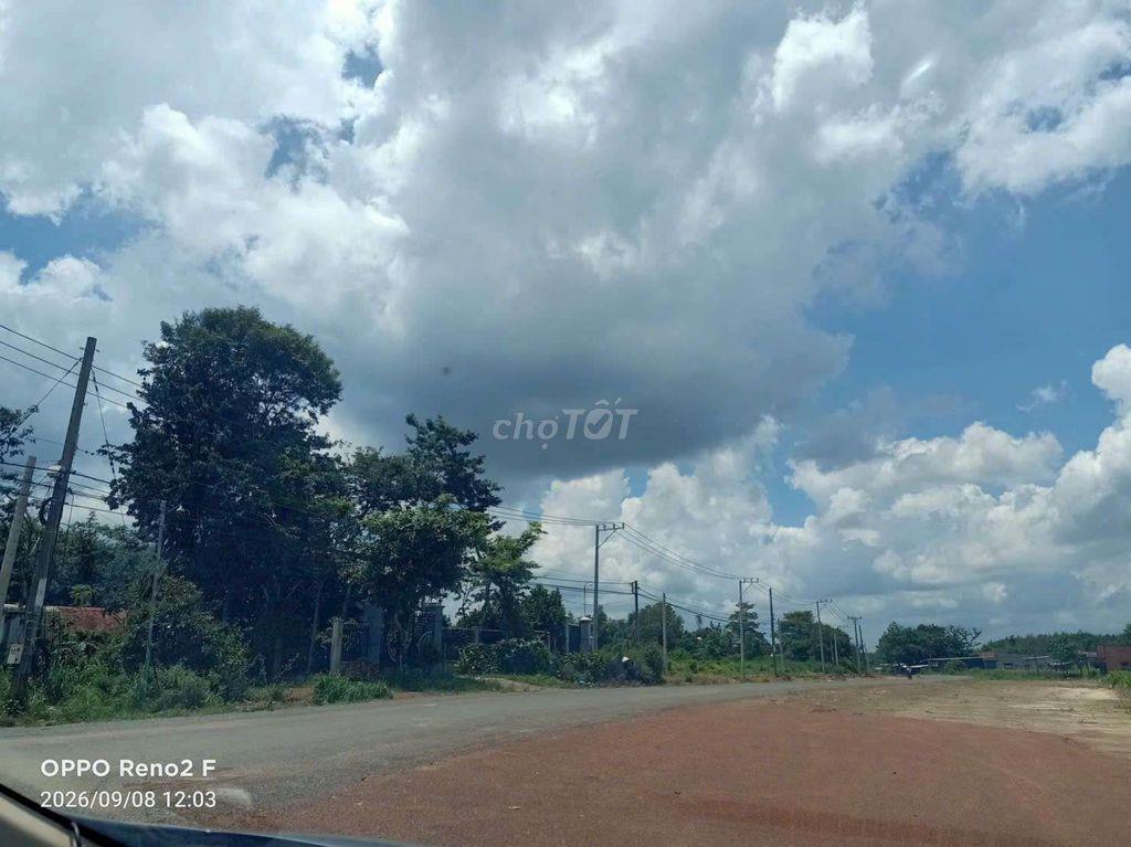 chính chủ cần bán mảnh đất 500m2 có 100thổ cư đường nhựa 42m dân đong