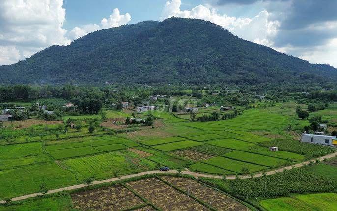Hạ Giá Hơn100 triệu Sập Sàn Cho Lô đất Trung Tâm Xuân Lộc Tp Đồng Nai