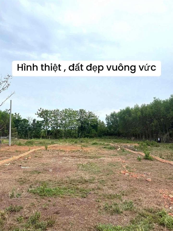 CHỈ 450 TRIỆU SỞ HỮU NGAY ĐẤT NHÀ VƯỜN 479m² TẠI VĨNH AN, TP. ĐỒNG NAi