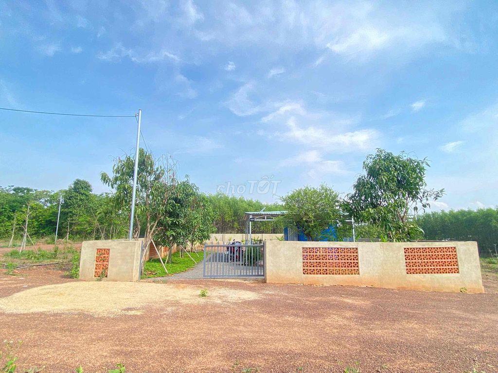 CHỈ 450 TRIỆU SỞ HỮU NGAY ĐẤT NHÀ VƯỜN 479m² TẠI VĨNH AN, TP. ĐỒNG NAi