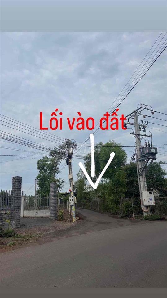 CHỈ 450 TRIỆU SỞ HỮU NGAY ĐẤT NHÀ VƯỜN 479m² TẠI VĨNH AN, TP. ĐỒNG NAi