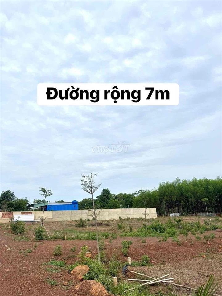 CHỈ 450 TRIỆU SỞ HỮU NGAY ĐẤT NHÀ VƯỜN 479m² TẠI VĨNH AN, TP. ĐỒNG NAi