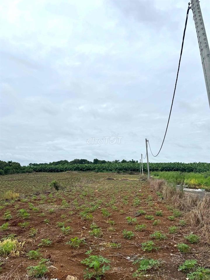 CHỈ 680 TRIỆU SỞ HỮU ĐẤT THỔ CƯ SỔ RIÊNG 135m2 XÃ HƯNG THỊNH ĐỒNG NAI