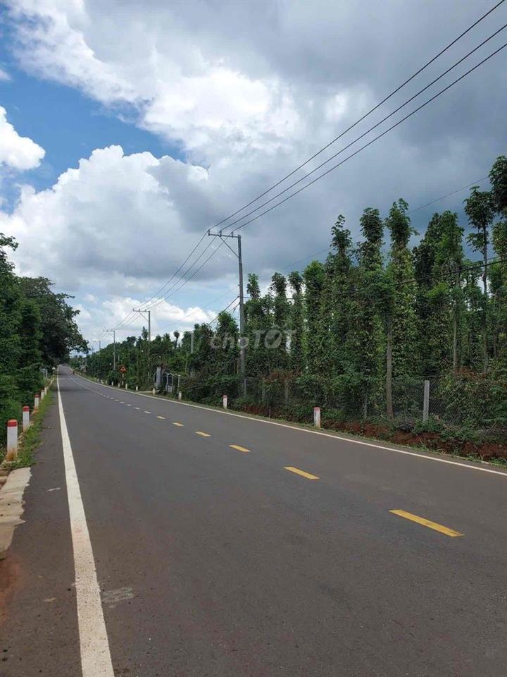 Bán Đất 9260m2 xã Lâm San, huyện Cẩm Mỹ (chính chủ)
