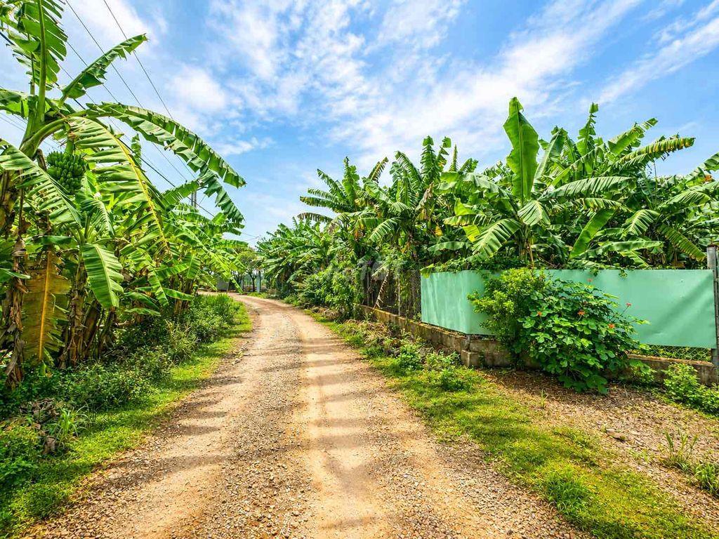 Đất làm trang trại, FarmStay cách HCM 50 phút chỉ 598tr/1m2