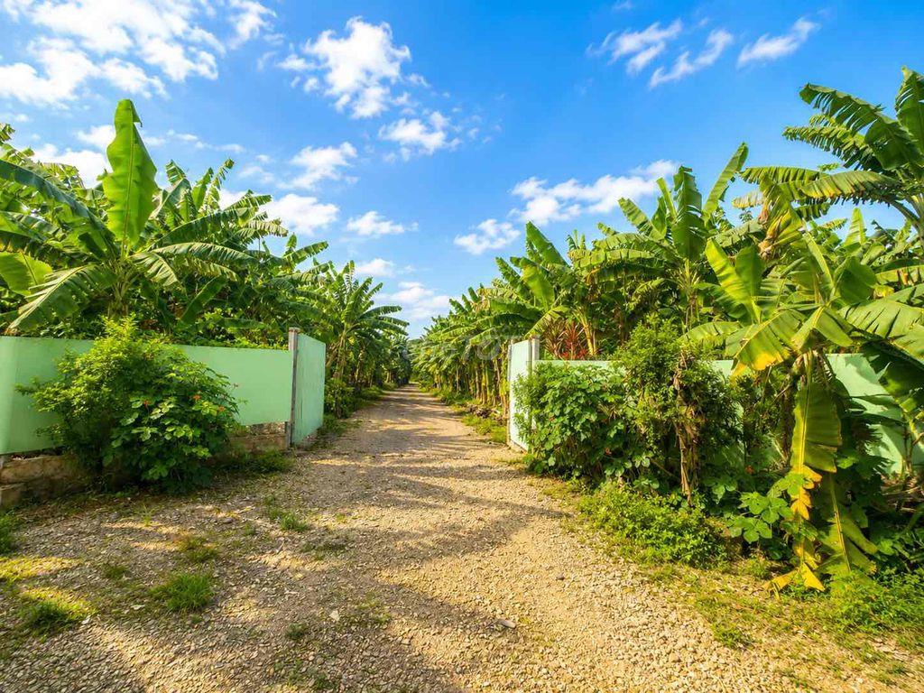 Đất làm trang trại, FarmStay cách HCM 50 phút chỉ 598tr/1m2