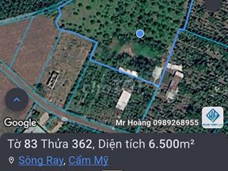 cần bán đất rẩy sầu riêng