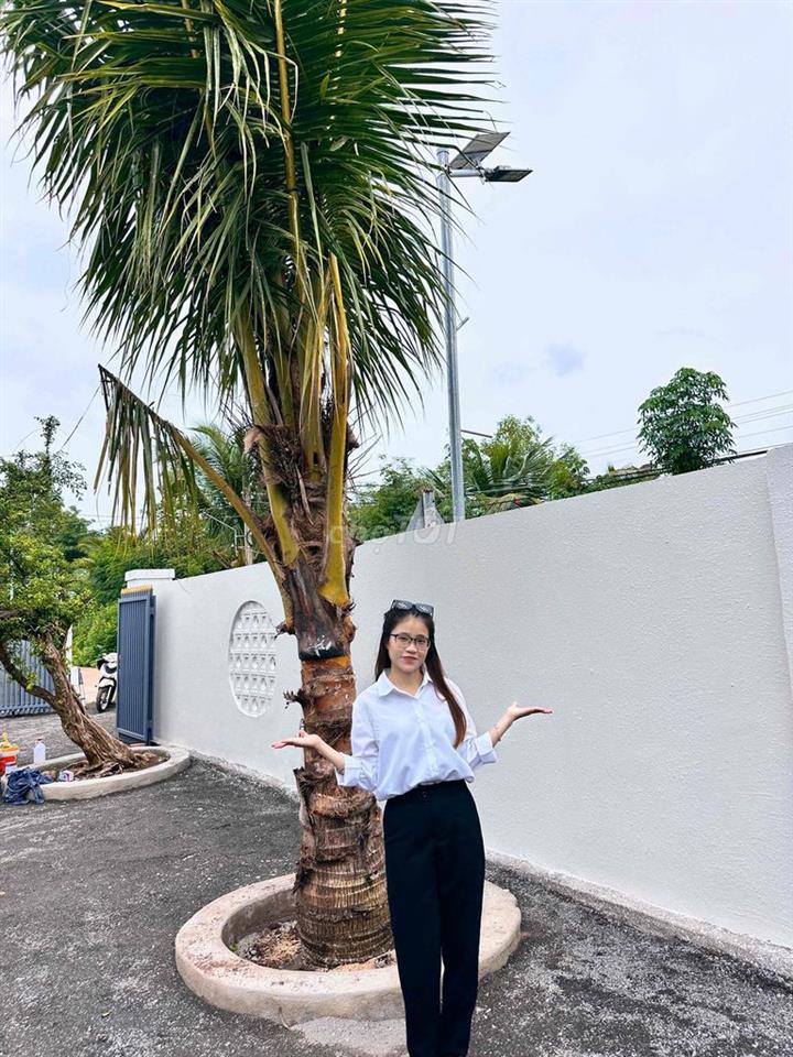 TOP NHÀ NGANG RỘNG HƠN 12M ngay tại P.Long Khánh