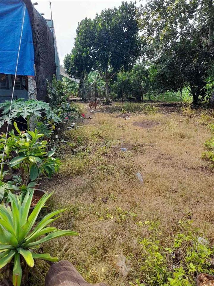 bán rẻ lô đất Bình Lộc