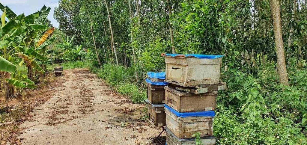 bán rẻ lô đất Long Khánh