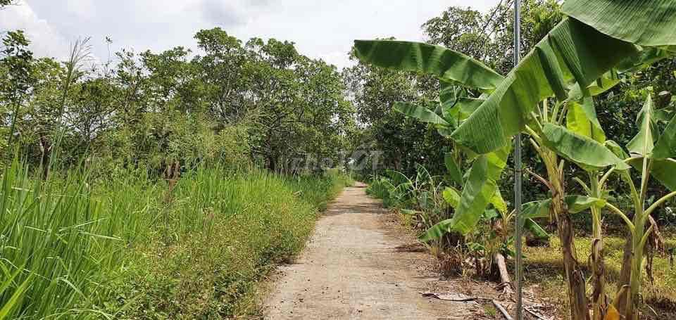 bán rẻ lô đất Long Khánh