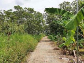 bán rẻ lô đất Long Khánh