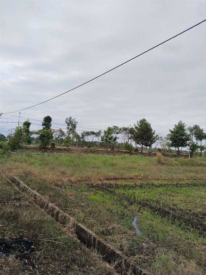 đất ruộng