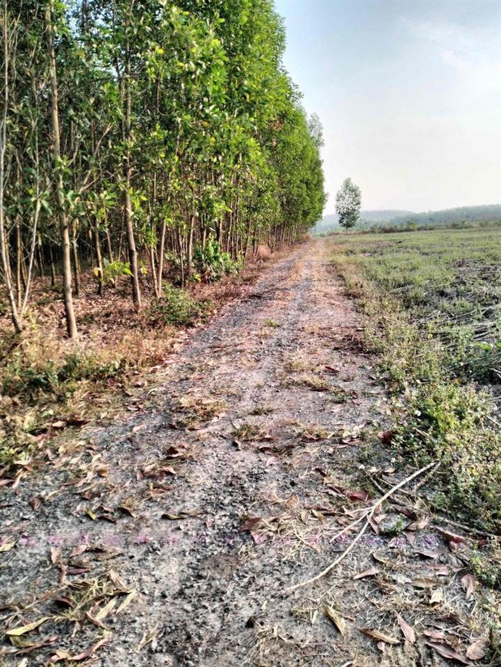 BÁN ĐẤT SỔ RIÊNG THỔ CƯ XUÂN THÀNH- XUÂN LỘC