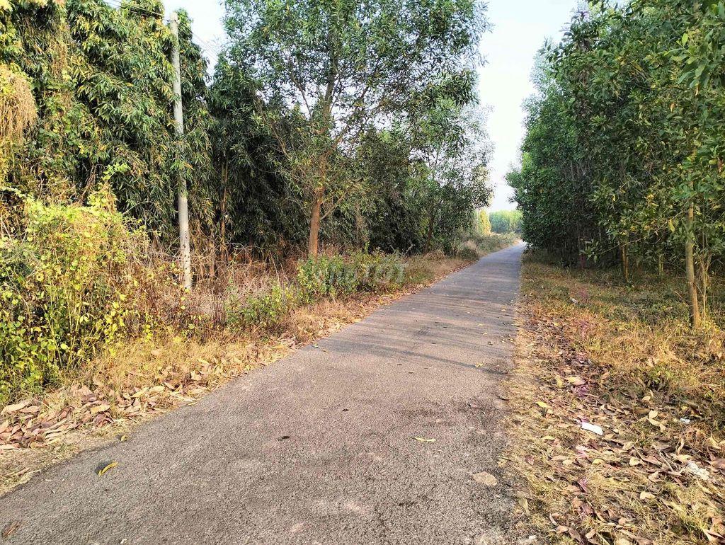 BÁN ĐẤT SỔ RIÊNG THỔ CƯ XUÂN THÀNH- XUÂN LỘC