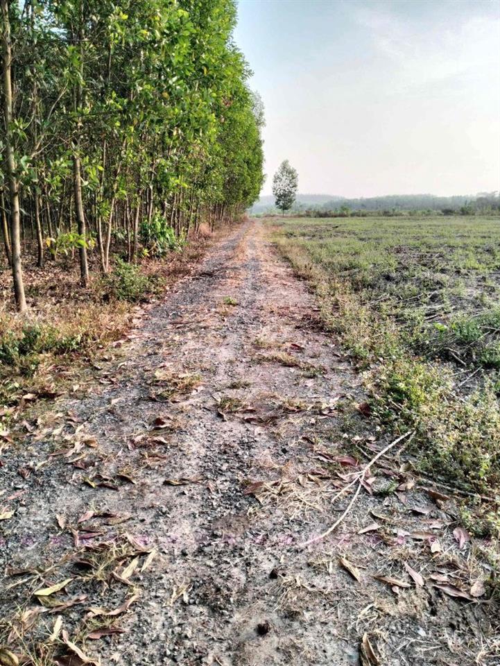 BÁN ĐẤT SỔ RIÊNG THỔ CƯ XUÂN THÀNH- XUÂN LỘC