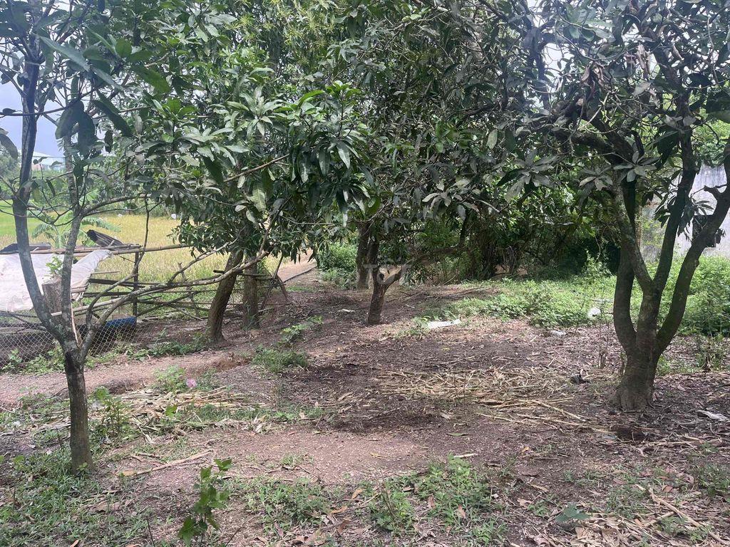 Cần bán đất huyện Vĩnh Cửu (Đồng Nai)