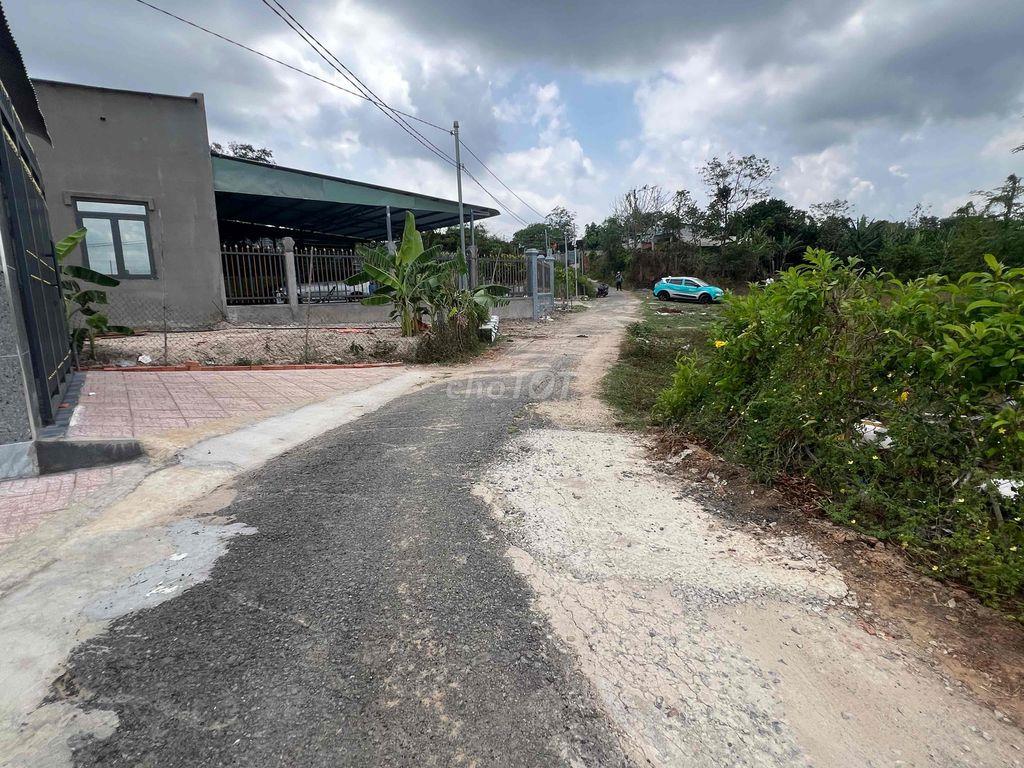 Cẩn bấn GẤP