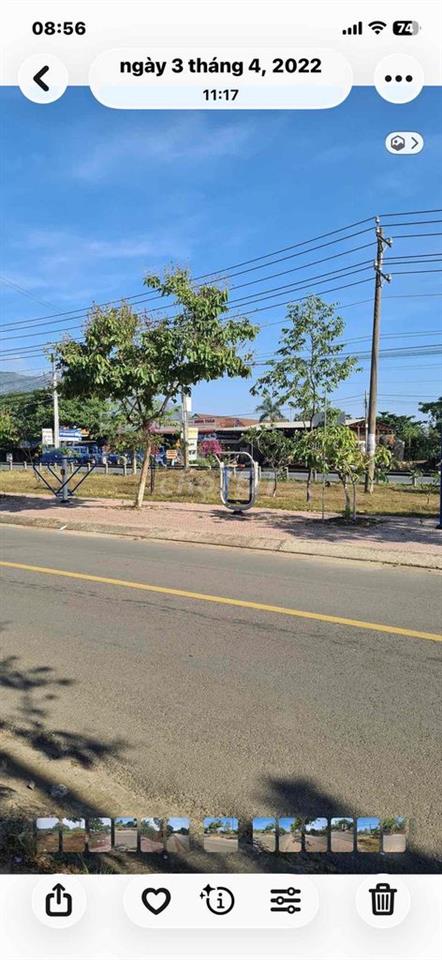 đat trong khu đô thị kết hợp trồng cây lâu năm