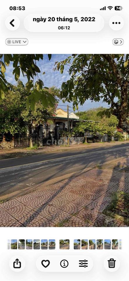 đat trong khu đô thị kết hợp trồng cây lâu năm