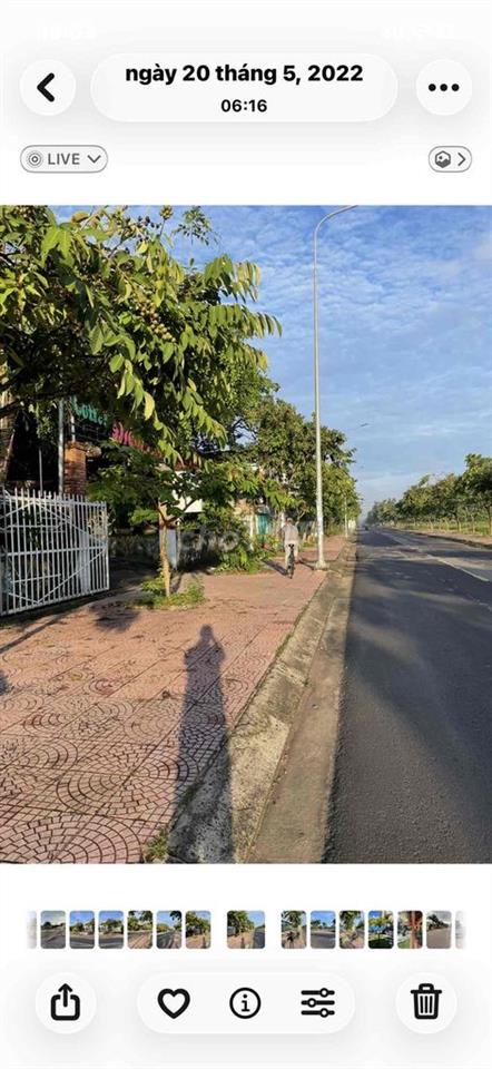 đat trong khu đô thị kết hợp trồng cây lâu năm