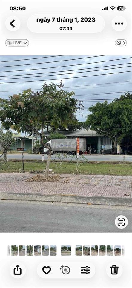 đat trong khu đô thị kết hợp trồng cây lâu năm