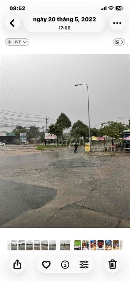 đat trong khu đô thị kết hợp trồng cây lâu năm