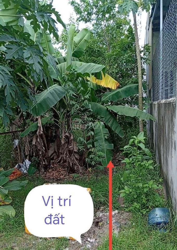 Bán đất 100m² (5×20) gần chợ Phú Sơn, Bắc Sơn, giá tốt