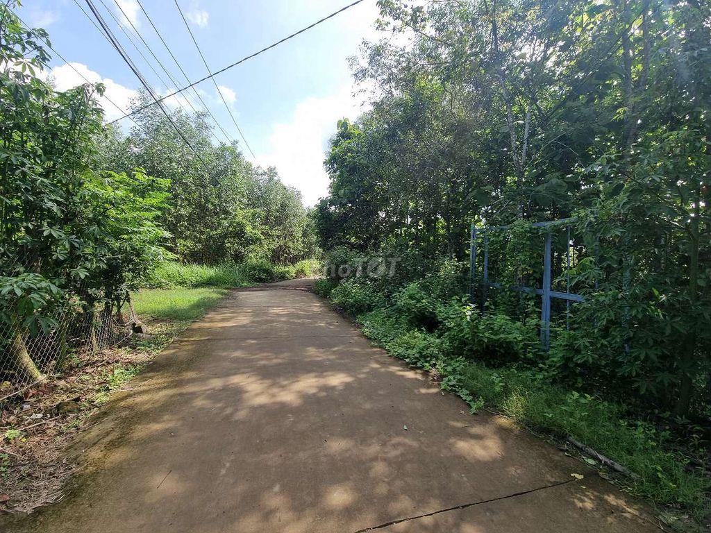 Cần bán gấp 2500m2 đất kèm nhà nuôi chim yến