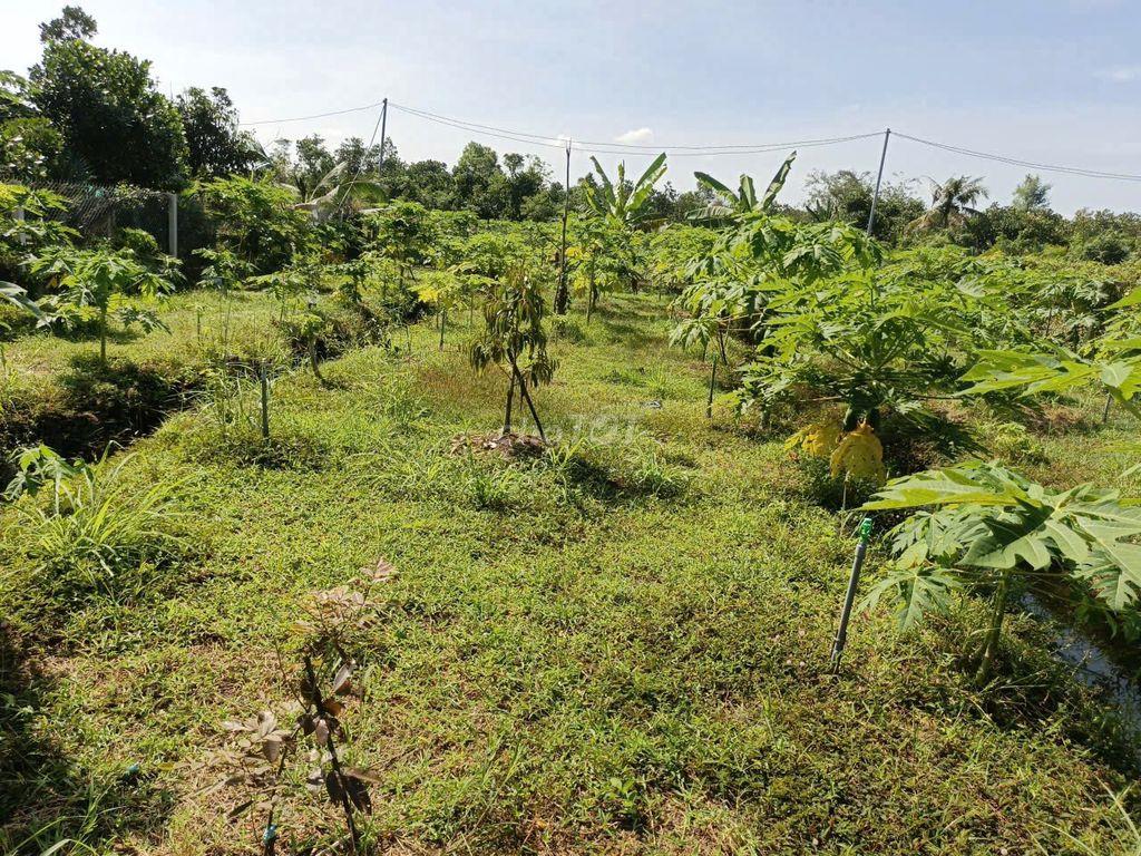Bán Gấp [1088m2]  Đất Sào TP. Long Khánh – Công Chứng Ngay.
