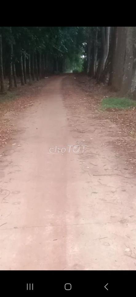 Bán đất Mt Sông Nhạn .Cẩm Mỹ. Đồng Nai