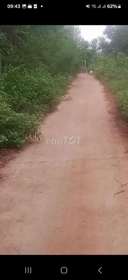 Bán đất Mt Sông Nhạn .Cẩm Mỹ. Đồng Nai