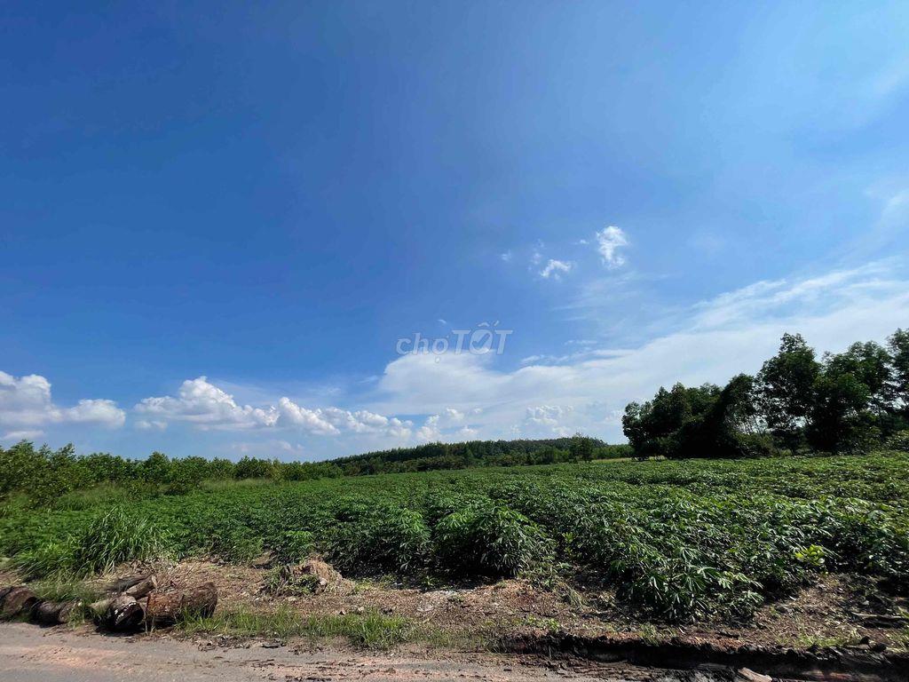🔥 CHÍNH CHỦ BÁN GẤP ĐẤT AN VIỄN – CÓ GẦN 10.000m² ĐẤT – ĐÓN SÓNG SÂN B