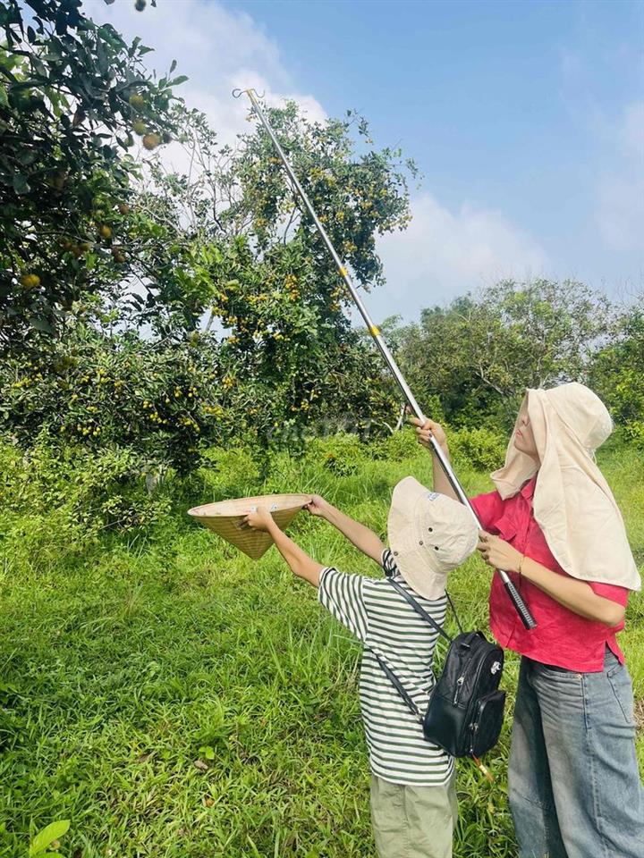 Bán 1000m2 Giáp suối-Sát dự Án Thung Lũng Xanh-Cách Mekong resort 1km-