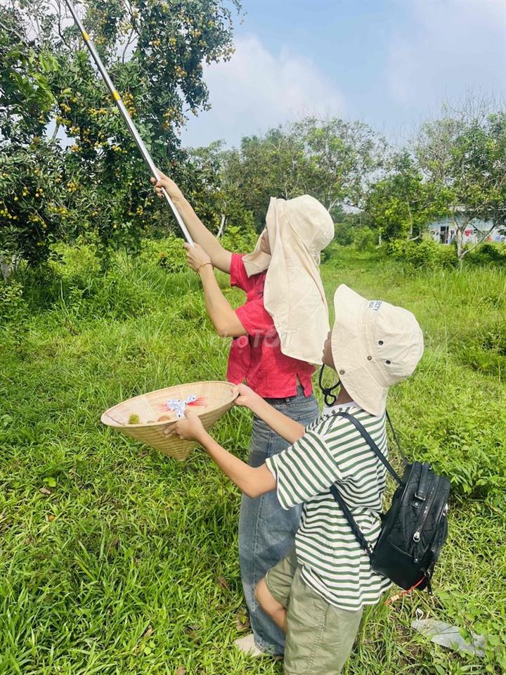 Bán 3200m2 Cách Mekong Resort ,Ql 51 chỉ 1km-Đất đẹp-giáp sông suối-