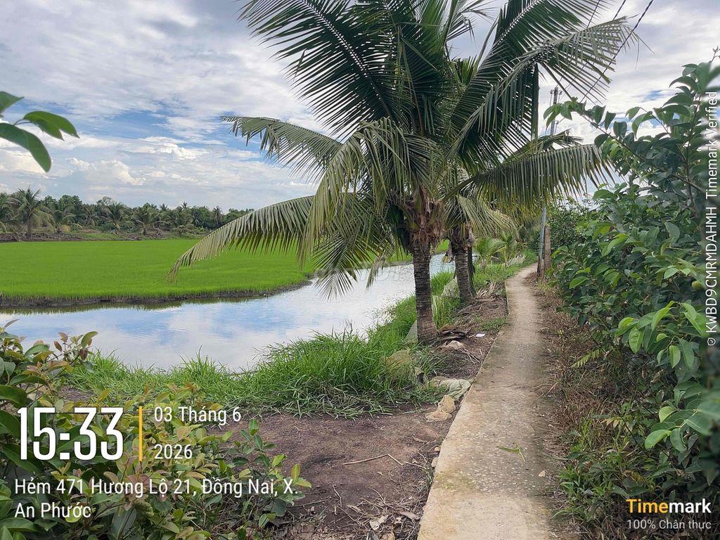 Cần bán 2500m2 đất NN - Đối diện Q9 - quy hoạch đất ở - cách chợ Tam A