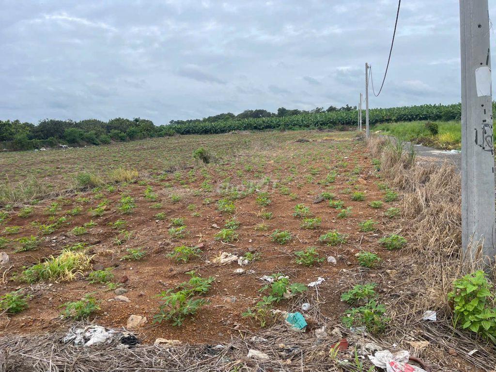 Đất Đông Hòa Hưng Thịnh lô 2 mặt tiền 12m Giá Chỉ 1T350