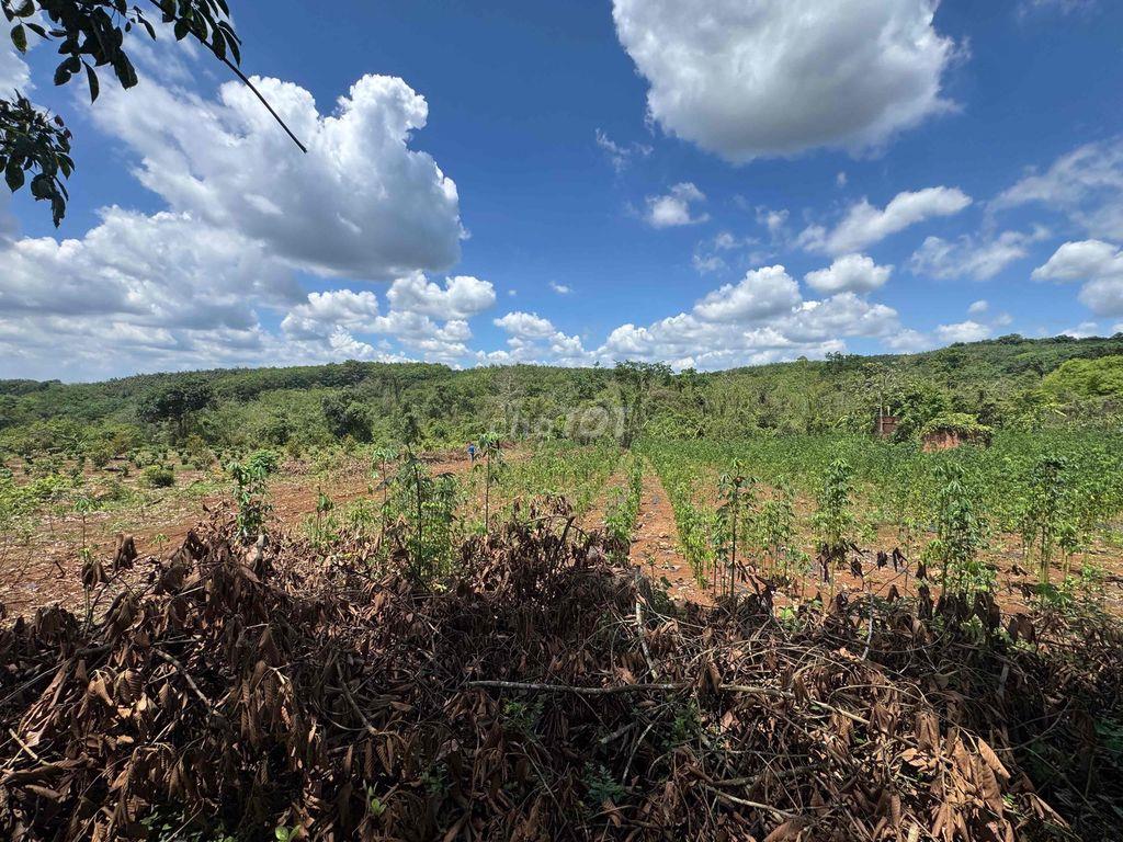 Cần bán lô đất 8000m chnk tại Suối Tre, Tp Long Khánh