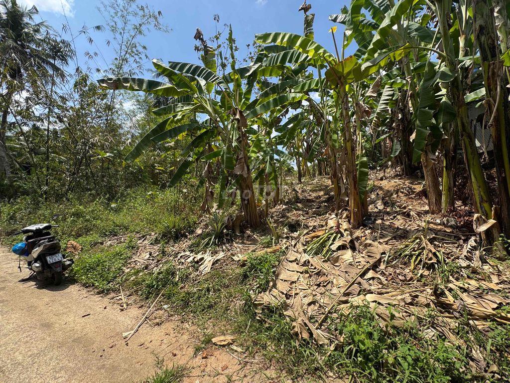 Cần bán 2300m đất tại TT Định Quán