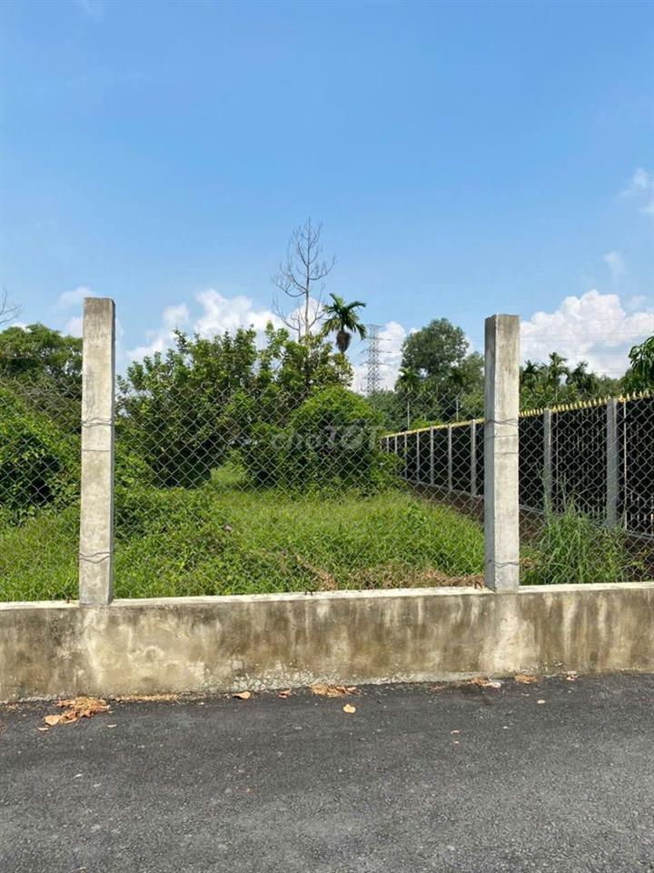 Bán đất 1600 m2