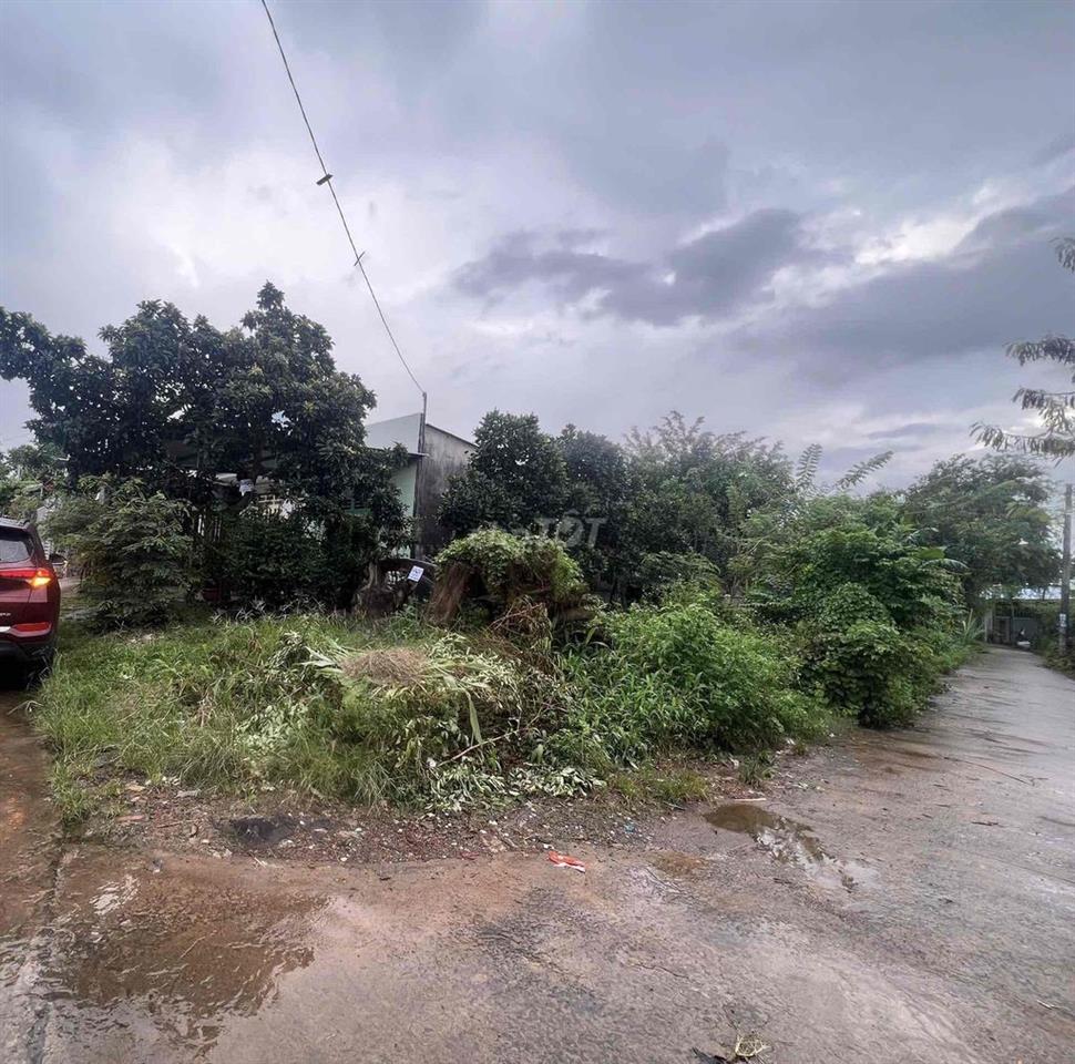 Chính Chủ Cần Bán Gấp Lô Đất gần KCN Bầu Xéo -Cách QL1A 100m