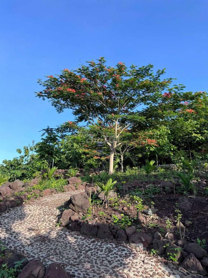 BÁN ĐẤT VƯỜN VIEW SÔNG LA NGÀ – DIỆN TÍCH 1.400m² – GIÁ CHỈ HƠN 1 TỶ