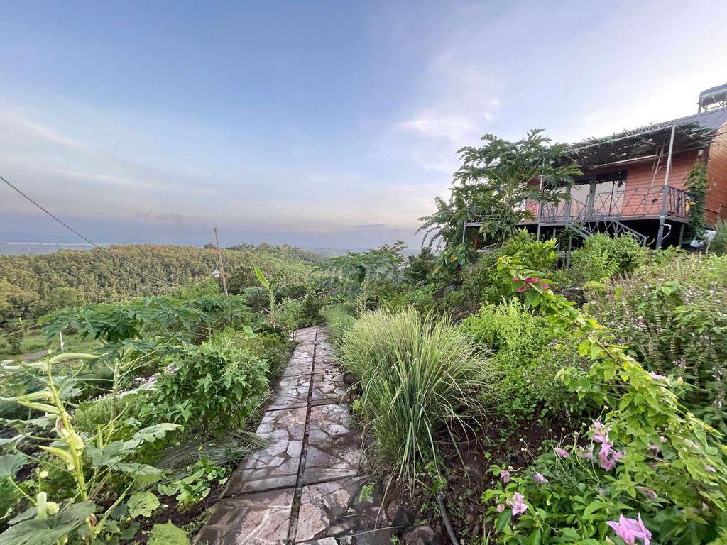 BÁN ĐẤT VƯỜN VIEW SÔNG LA NGÀ – DIỆN TÍCH 1.400m² – GIÁ CHỈ HƠN 1 TỶ