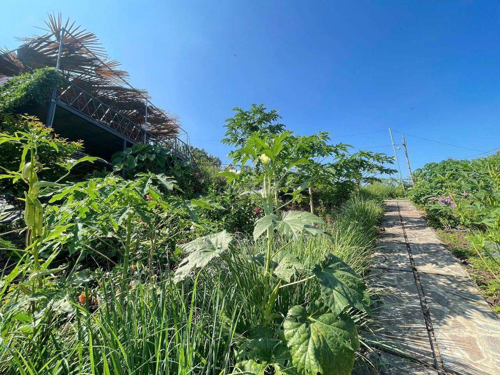 BÁN ĐẤT VƯỜN VIEW SÔNG LA NGÀ – DIỆN TÍCH 1.400m² – GIÁ CHỈ HƠN 1 TỶ