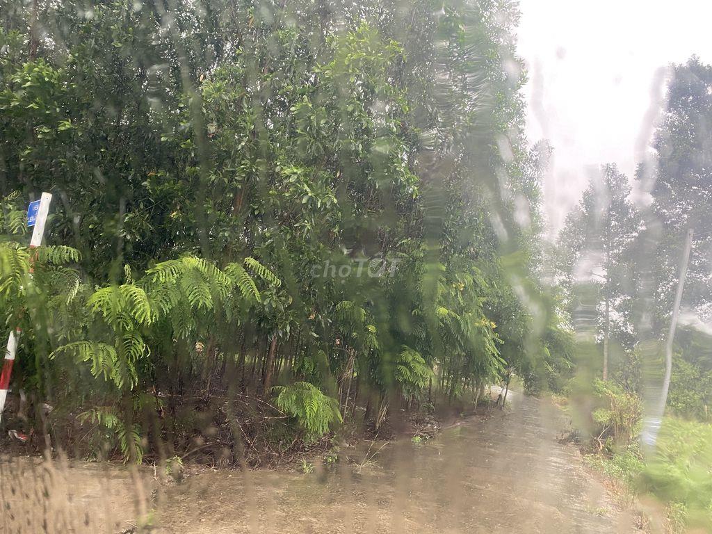 🔥 CỰC PHẨM ĐẤT SÀO TRONG KHU DÂN CƯ 🔥