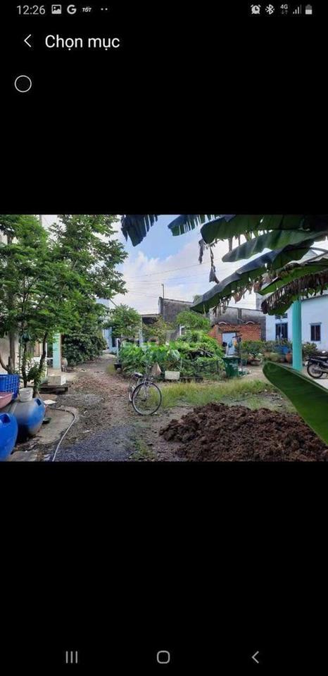 Gia đình cần bán đất full thổ cư dt 234,9m2 ở TP Biên Hòa p.tân hạnh 